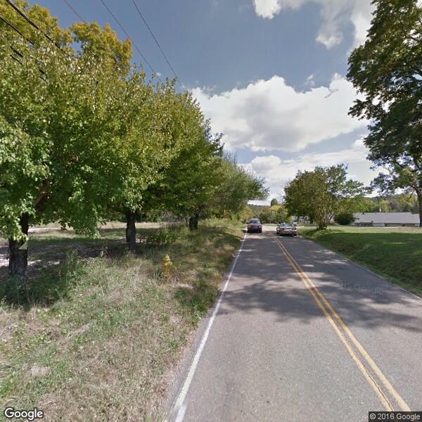 2024 Stump Grinding Cost Calculator Knoxville, Tennessee Manta