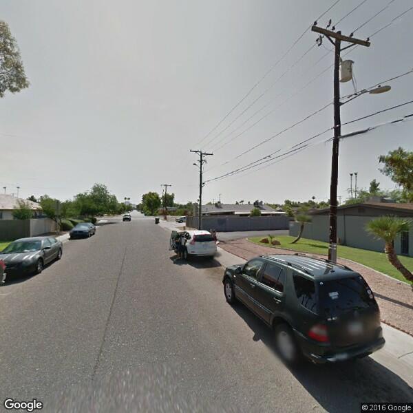 2024 Tree Trimming Cost Calculator Phoenix, Arizona Manta