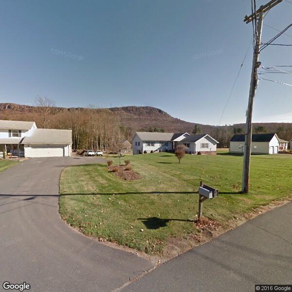 2023 Stump Grinding Cost Calculator Easthampton, Massachusetts Manta