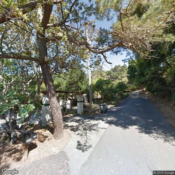 Carlos CA San tree removal, cmp