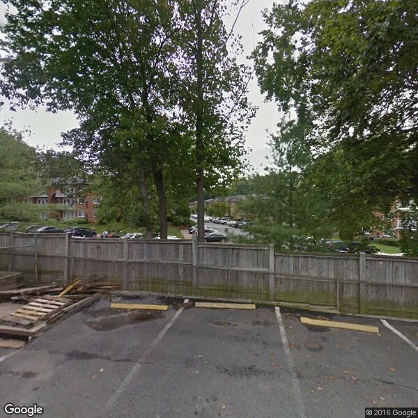 2024 Bamboo Removal Cost Calculator Fairfax, Virginia Manta