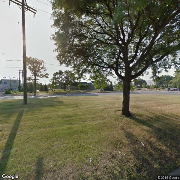 2024 Tree Service Cost Calculator Warren, Michigan Manta