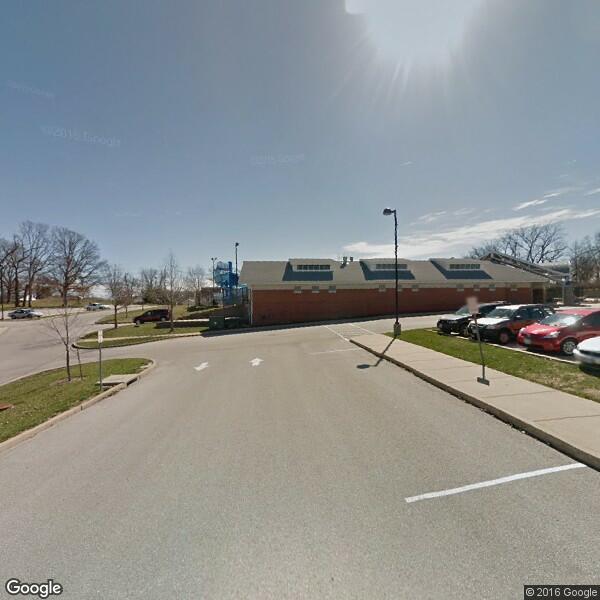 2024 Poison Ivy Removal Cost Calculator Hazelwood, Missouri Manta