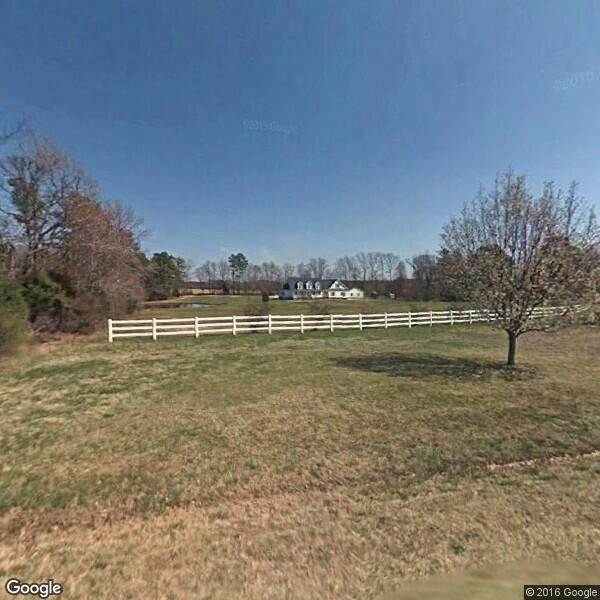 can arborvitae trees be trimmed, Greenwood IN