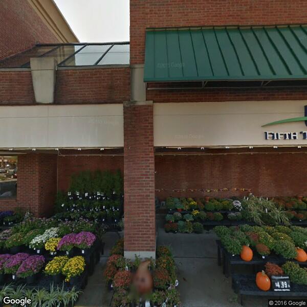 2024 Carpet Replacement Cost Calculator Louisville, Kentucky Manta