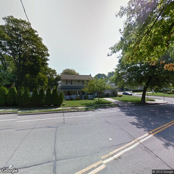 2024 Bamboo Removal Cost Calculator Seaford, New York Manta