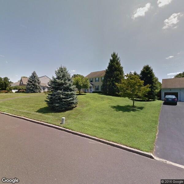 2024 Stump Grinding Cost Calculator Richboro, Pennsylvania Manta