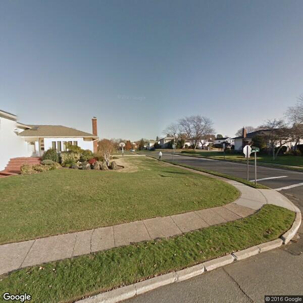 2024 Bamboo Removal Cost Calculator Seaford, New York Manta