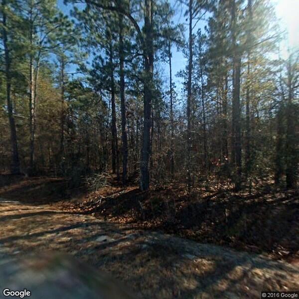 2024 Tree Service Cost Calculator Camden, South Carolina Manta