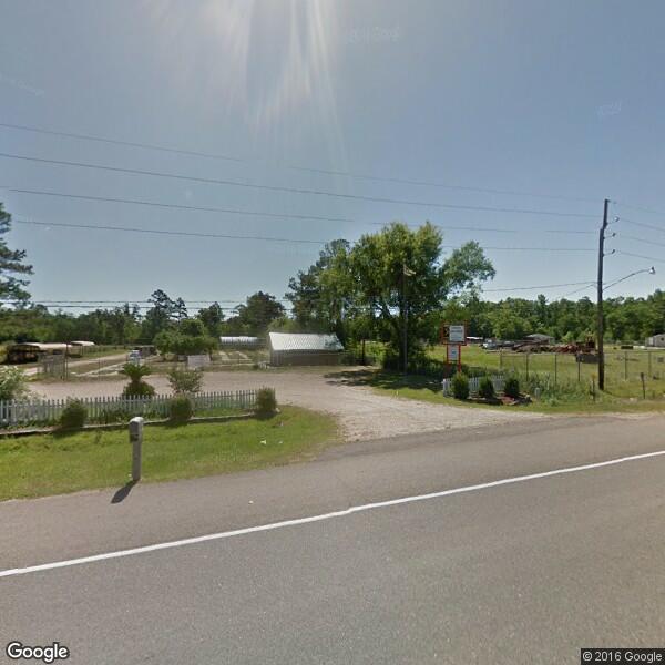 2024 Stump Grinding Cost Calculator Hammond, Louisiana Manta