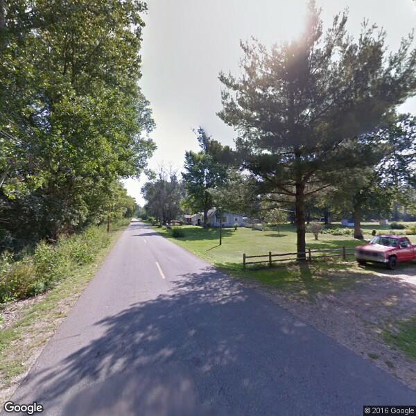 2023 Tree Removal Cost Calculator Kalamazoo, Michigan Manta