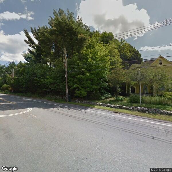 2024 Bamboo Removal Cost Calculator Littleton, Massachusetts Manta