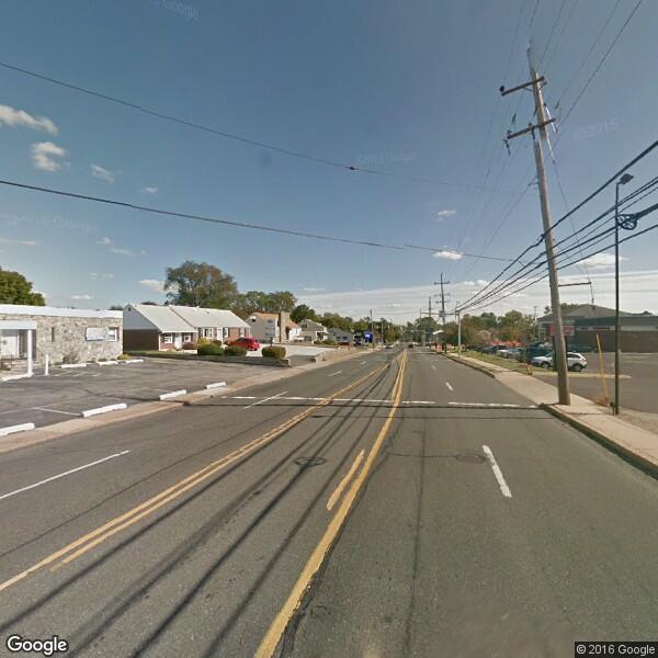 2024 Tree Planting Cost Calculator Brookhaven, Pennsylvania Manta