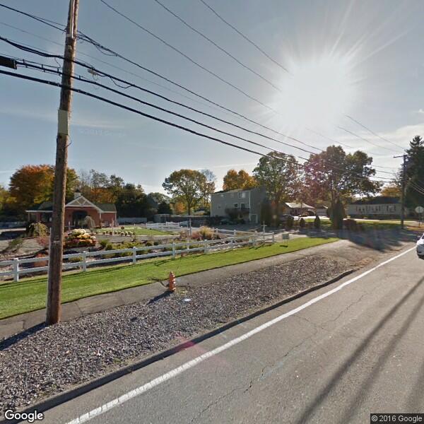 2023 Tree Stump Removal Cost Calculator Seekonk, Massachusetts Manta