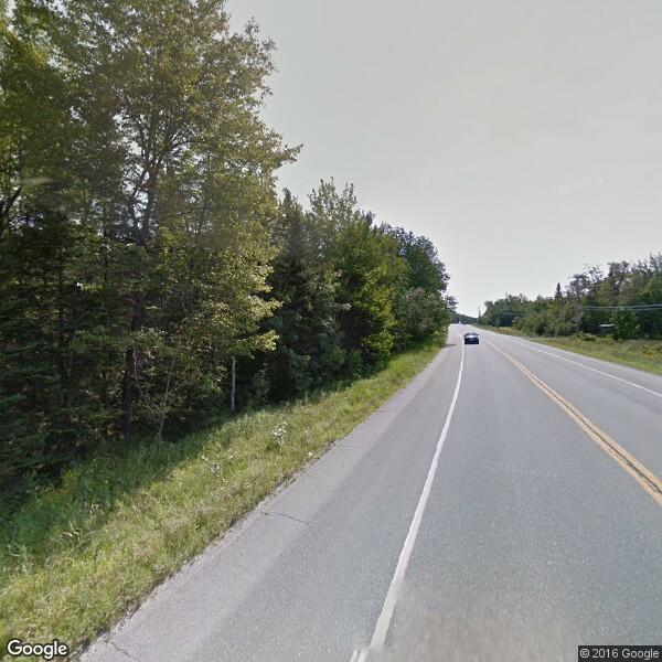 2024 Tree Removal Cost Calculator Bangor, Maine Manta