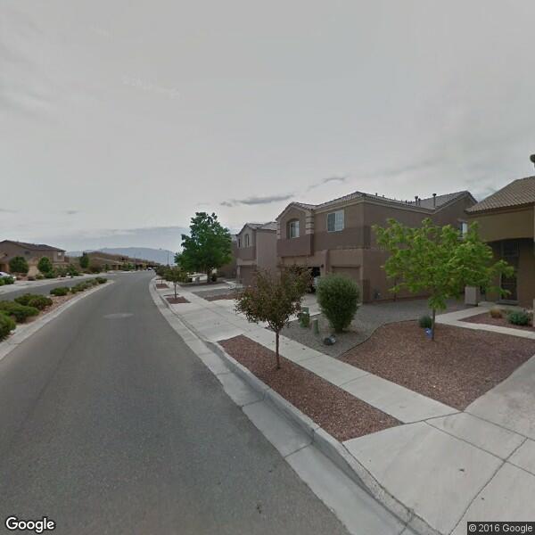 2024 Tree Service Cost Calculator Albuquerque, New Mexico Manta