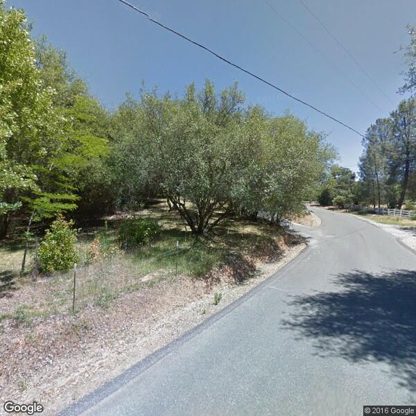 2024 Roof Moss Removal Cost Calculator Grass Valley, California Manta