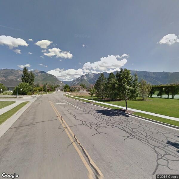 tree removal sandy utah