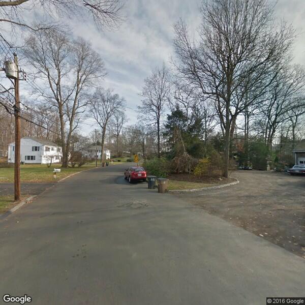 2023 Tree Removal Cost Calculator Stamford, Connecticut Manta