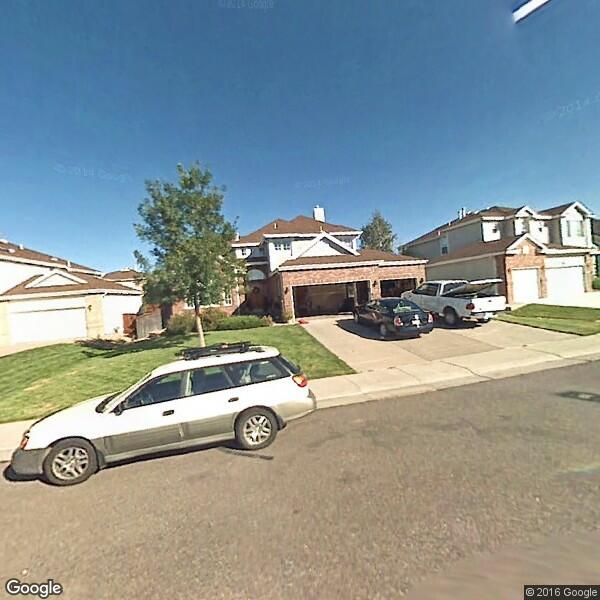 2024 Tree Removal Cost Calculator Littleton, Colorado Manta