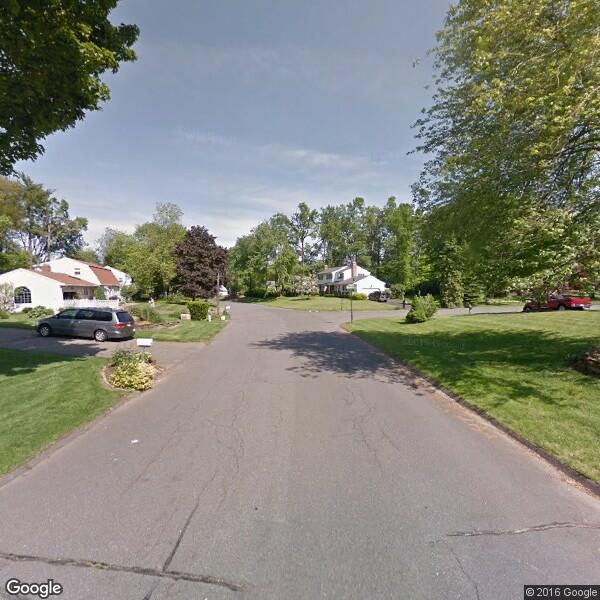 2023 Tree Cost Calculator Windsor, Connecticut Manta