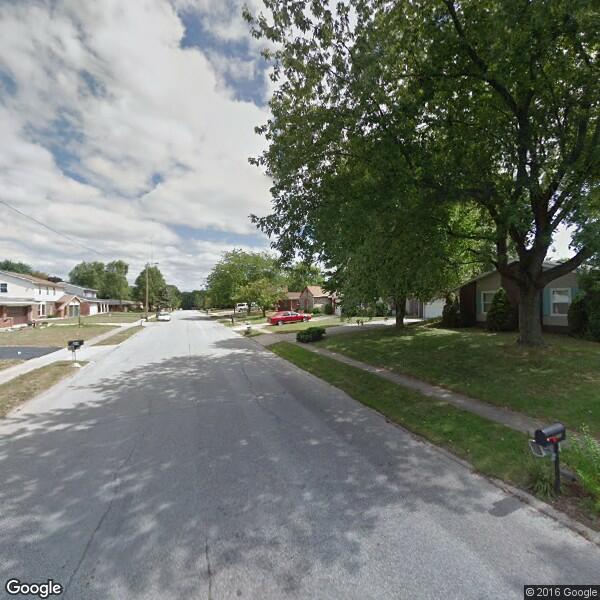 2024 Tree Cost Calculator Kokomo, Indiana Manta