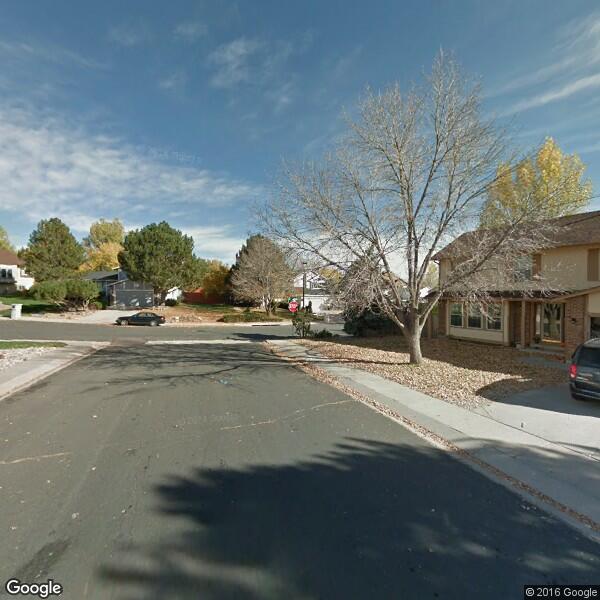 2024 Tree Removal Cost Calculator Colorado Springs, Colorado Manta