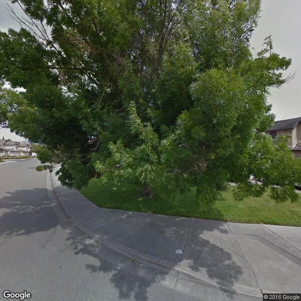 Singles in rohnert park california