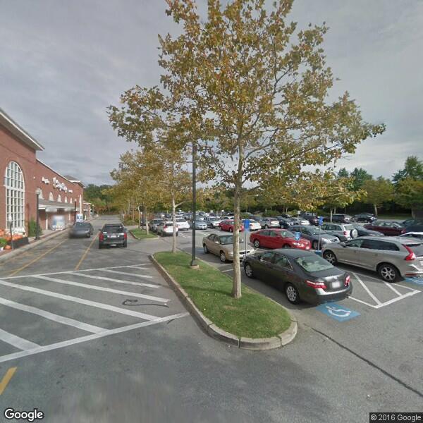 2024 Tree Removal Cost Calculator Mashpee, Massachusetts Manta