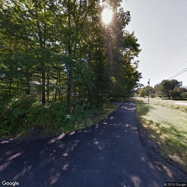 2022 Iguana Removal Cost Calculator Bangor, Maine Manta