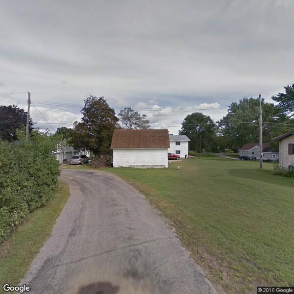 2024 Iguana Removal Cost Calculator La Crosse, Wisconsin Manta