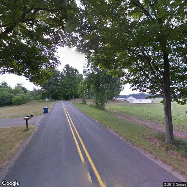 2022 Iguana Removal Cost Calculator Kalamazoo, Michigan