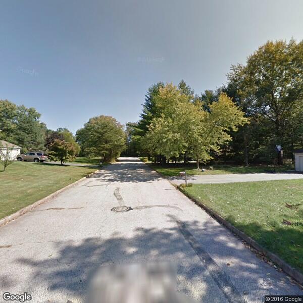 2022 Iguana Removal Cost Calculator Phoenixville