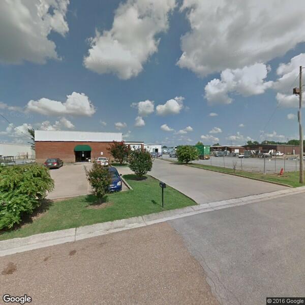 2024 Raccoon Removal Cost Calculator Horn Lake, Mississippi Manta