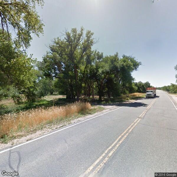 2023 Tree Cost Calculator Fort Colorado Manta