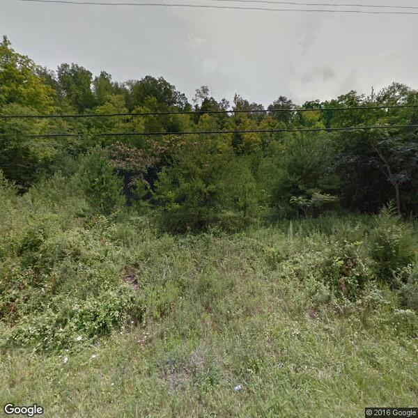 2024 Tree Removal Cost Calculator Johnson City, Tennessee Manta