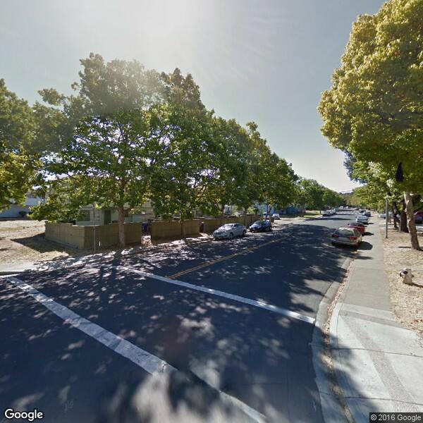 2024 Tree Trimming Cost Calculator Benicia, California Manta