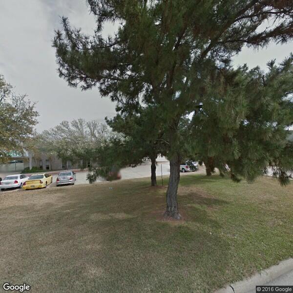 2024 Tree Service Cost Calculator Grand Prairie, Texas Manta