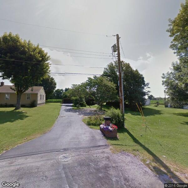 2024 Tree Service Cost Calculator Millstadt, Illinois Manta