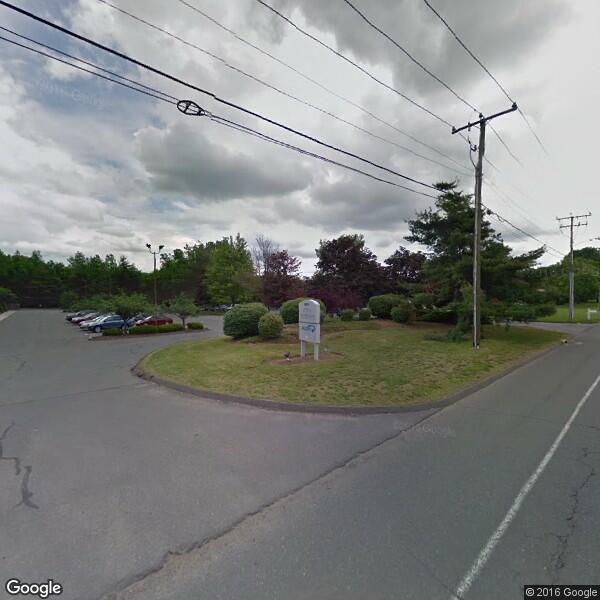 2023 Tree Cost Calculator Windsor, Connecticut Manta