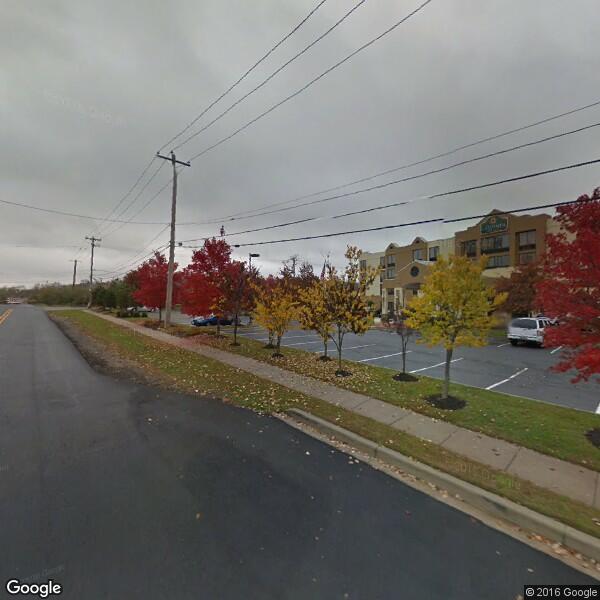 2023 Shrub Removal Cost Calculator Elkton, Maryland Manta