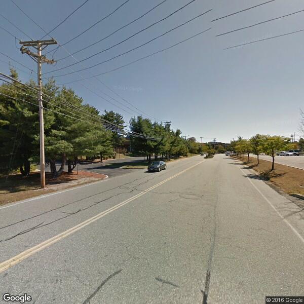 2023 Tree Removal Cost Calculator North Reading, Massachusetts Manta