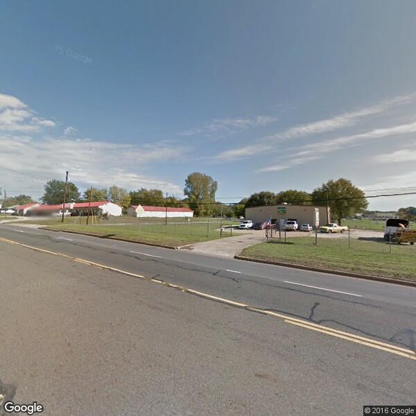 2024 Tree Removal Cost Calculator Palestine, Texas Manta