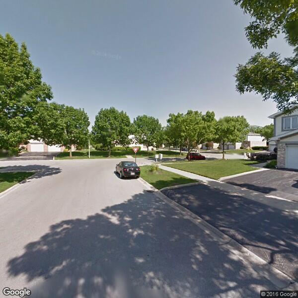 2023 Carpet Cleaning Cost Calculator Tinley Park, Illinois Manta