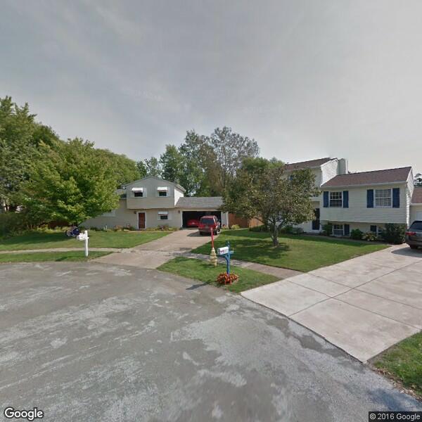 2024 Carpet Dyeing Cost Calculator Erie, Pennsylvania Manta