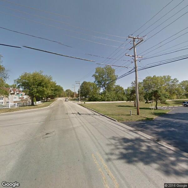 2023 Squirrel Removal Cost Calculator Woodstock, Illinois Manta