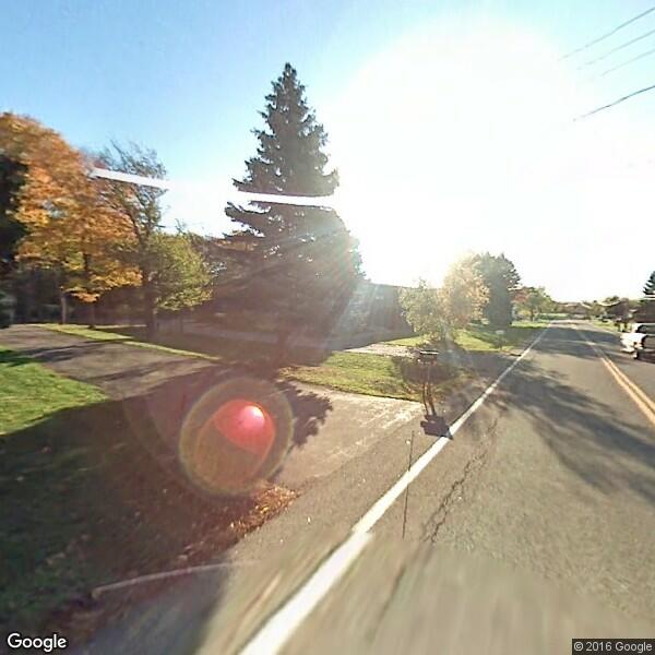 Bugg Control Grand Island Ny Bugg Control Grand Island Ny